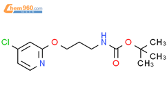 Tert Butyl N Chloropyridin Yl Oxypropyl Carbamate