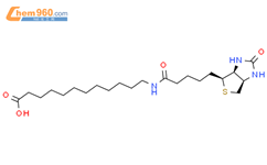 N-生物素基-12-氨基十二烷酸结构式图片|135447-73-3结构式图片