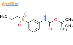 tert-butyl N-(3-propylsulfonylphenyl)carbamate结构式图片|1373233-47-6结构式图片