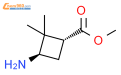 反式-3-氨基-2,2-二甲基环丁烷甲酸甲酯结构式图片|1392879-23-0结构式图片