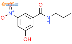 Benzamide, 3-hydroxy-5-nitro-N-propyl-结构式图片|1395037-75-8结构式图片