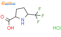 cis-5-三氟甲基-吡咯烷-2-羧酸 盐酸盐结构式图片|1414887-35-6结构式图片