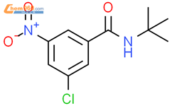 N-tert-Butyl-3-chloro-5-nitrobenzamide结构式图片|1492682-92-4结构式图片