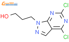 4,6-二氯-1H-吡唑并[3,4-d]嘧啶-1-丙醇结构式图片|1507372-44-2结构式图片
