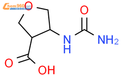 4-(carbamoylamino)oxolane-3-carboxylic acid结构式图片|1514045-88-5结构式图片