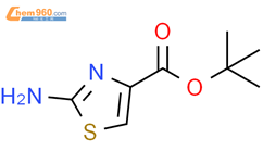 4-Thiazolecarboxylic acid, 2-amino-, 1,1-dimethylethyl ester结构式图片|1519728-58-5结构式图片