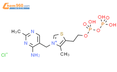 辅羧酶结构式图片|154-87-0结构式图片