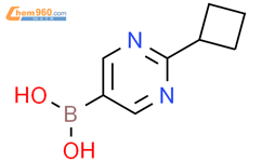 2-(环丁基)嘧啶-5-硼酸结构式图片|1551413-91-2结构式图片