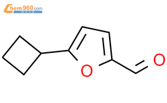 5-环丁基呋喃-2-甲醛结构式图片|1555803-96-7结构式图片