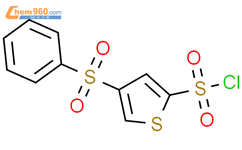 4-(苯磺酰基)噻吩-2-磺酰氯结构式图片|160233-28-3结构式图片