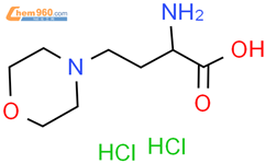 α-氨基-4-吗啉丁酸 二盐酸盐结构式图片|161314-93-8结构式图片