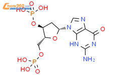 3'-Guanylic acid,2'-deoxy-, 5'-(dihydrogen phosphate)结构式图片|16174-59-7结构式图片