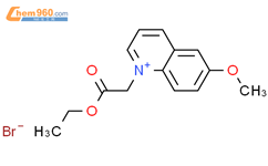 MQAE(氯离子荧光探针)厂家_MQAE(氯离子荧光探针)生产厂家,有现货可定制 – 960化工网