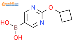 2-(环丁基)嘧啶-5-硼酸