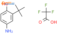 4-氨基-2-(叔丁基)苯酚 三氟乙酸盐结构式图片|1660153-64-9结构式图片