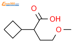2-环丁基-4-甲氧基丁酸