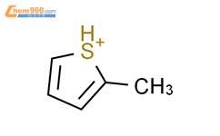 Methyl, thiophenio-结构式图片|171070-63-6结构式图片
