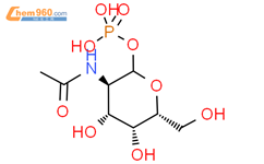 2-​（乙酰氨基）​-​2-​脱氧-​, 1-​（磷酸二氢钾）D）-​吡喃半乳糖结构式图片|17479-07-1结构式图片