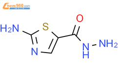 2-amino-1,3-thiazole-5-carbohydrazide结构式图片|176179-11-6结构式图片