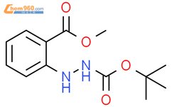 2-(2-(甲氧羰基)-苯基)肼羧酸叔丁酯结构式图片|1824102-83-1结构式图片