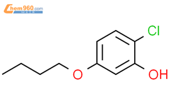 5-Butoxy-2-chlorophenol结构式图片|1824411-59-7结构式图片