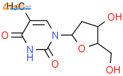 胸腺嘧啶脱氧核苷-2-13c