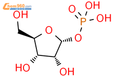 α-D-ribofuranosyl phosphate, free acid结构式图片|18646-11-2结构式图片