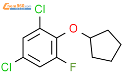 1,5-dichloro-2-(cyclopentyloxy)-3-fluorobenzene结构式图片|1881288-99-8结构式图片