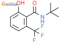 N-tert-butyl-2-hydroxy-6-(trifluoromethyl)benzamide