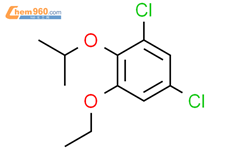 Benzene, 1,5-dichloro-3-ethoxy-2-(1-methylethoxy)-结构式图片|1881295-40-4结构式图片