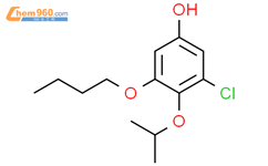3-butoxy-5-chloro-4-(propan-2-yloxy)phenol结构式图片|1881321-34-1结构式图片