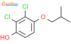 2,3-dichloro-4-(2-methylpropoxy)phenol结构式图片|1881329-40-3结构式图片