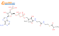 Lactoyl-CoA