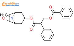 Benzeneacetic acid, a-[(benzoyloxy)methyl]-,9-methyl-3-oxa-9-azatricyclo[3.3.1.02,4]non-7-yl ester, [7(S)-(1a,2b,4b,5a,7b)]- (9CI)结构式图片|1927-18-0结构式图片