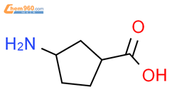 反式-3-氨基环戊烷羧酸结构式图片|19297-28-0结构式图片