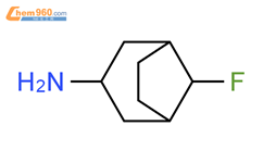 8-氟双环[3.2.1]辛烷-3-胺