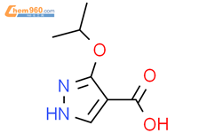 3-(propan-2-yloxy)-1H-pyrazole-4-carboxylic acid结构式图片|1934986-08-9结构式图片