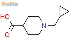 1-环丙基甲基哌啶-4-羧酸盐酸盐