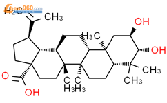 麦珠子酸,Alphitolic acid结构式图片|19533-92-7结构式图片