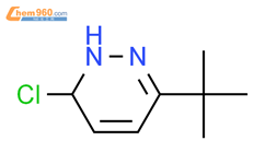 3-(叔丁基)-6-氯-1,6-二氢哒嗪结构式图片|1956331-91-1结构式图片