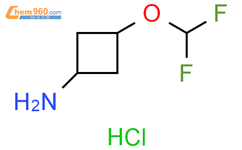 3-(二氟甲氧基)环丁胺 盐酸盐结构式图片|2007916-28-9结构式图片