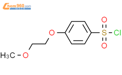 4-(2-Methoxyethoxy)benzene-1-sulfonyl chloride结构式图片|204072-53-7结构式图片