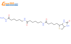 N-(6-hydrazinyl-6-oxohexyl)-6-[5-(2-oxo-1,3,3a,4,6,6a-hexahydrothieno[3,4-d]imidazol-4-yl)pentanoylamino]hexanamide结构式图片|211237-33-1结构式图片