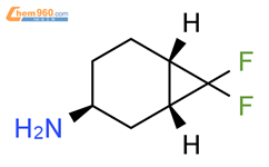 rel-(1S,3R,6R)-7,7-difluoronorcaran-3-amine结构式图片|2218436-84-9结构式图片