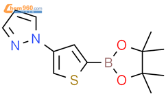 4-(1h -吡唑-1-基)噻吩-2-硼酸频哪醇酯结构式图片|2223029-59-0结构式图片