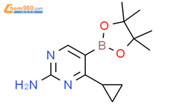 2-氨基-4-(环丙基)嘧啶-5-硼酸频哪醇酯结构式图片|2223031-78-3结构式图片