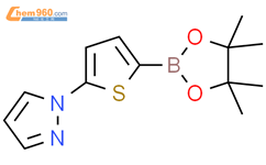5-(1H-吡唑醇-1-基)噻吩-2-硼酸频哪醇酯结构式图片|2223032-96-8结构式图片