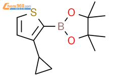 3-环丙基噻吩-2-硼酸频哪醇酯结构式图片|2223033-79-0结构式图片