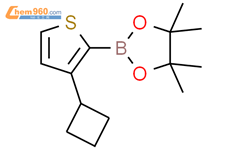 3-环丁基噻吩-2-硼酸频哪醇酯结构式图片|2223040-29-5结构式图片