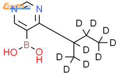 4-(仲丁基-d9)-嘧啶-5-硼酸结构式图片|2225151-67-5结构式图片